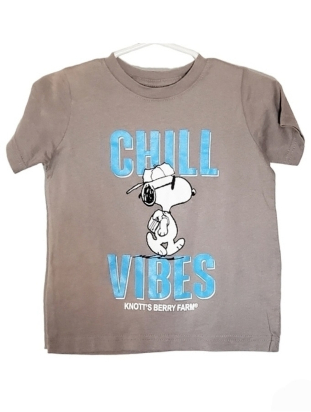 K1308 * Knotts Berry Farm Boys Snoopy Chill Vibes Tee Gray Size 2T